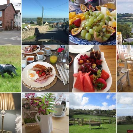 School Farm Bed and Breakfast Blagdon Buitenkant foto