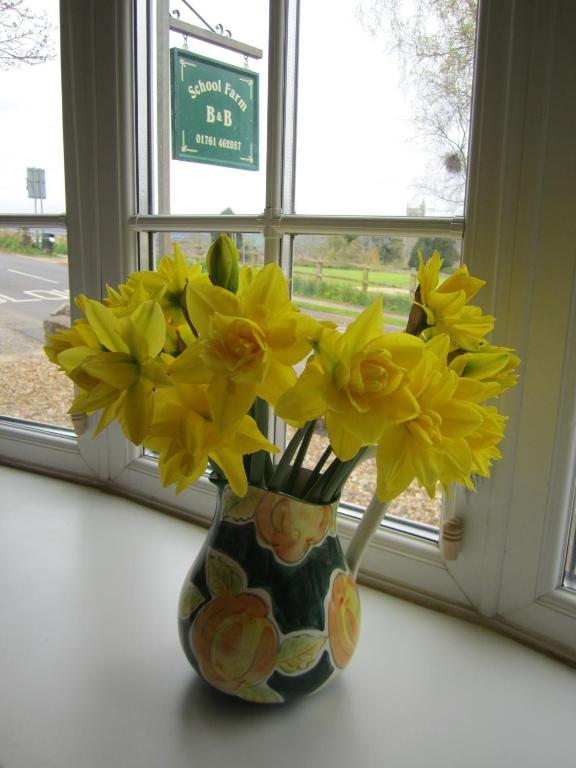 School Farm Bed and Breakfast Blagdon Buitenkant foto